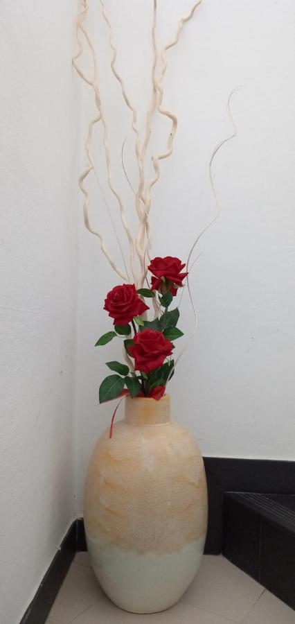 הוילה Ostellato Locazione Mimosa Con Giardino מראה חיצוני תמונה